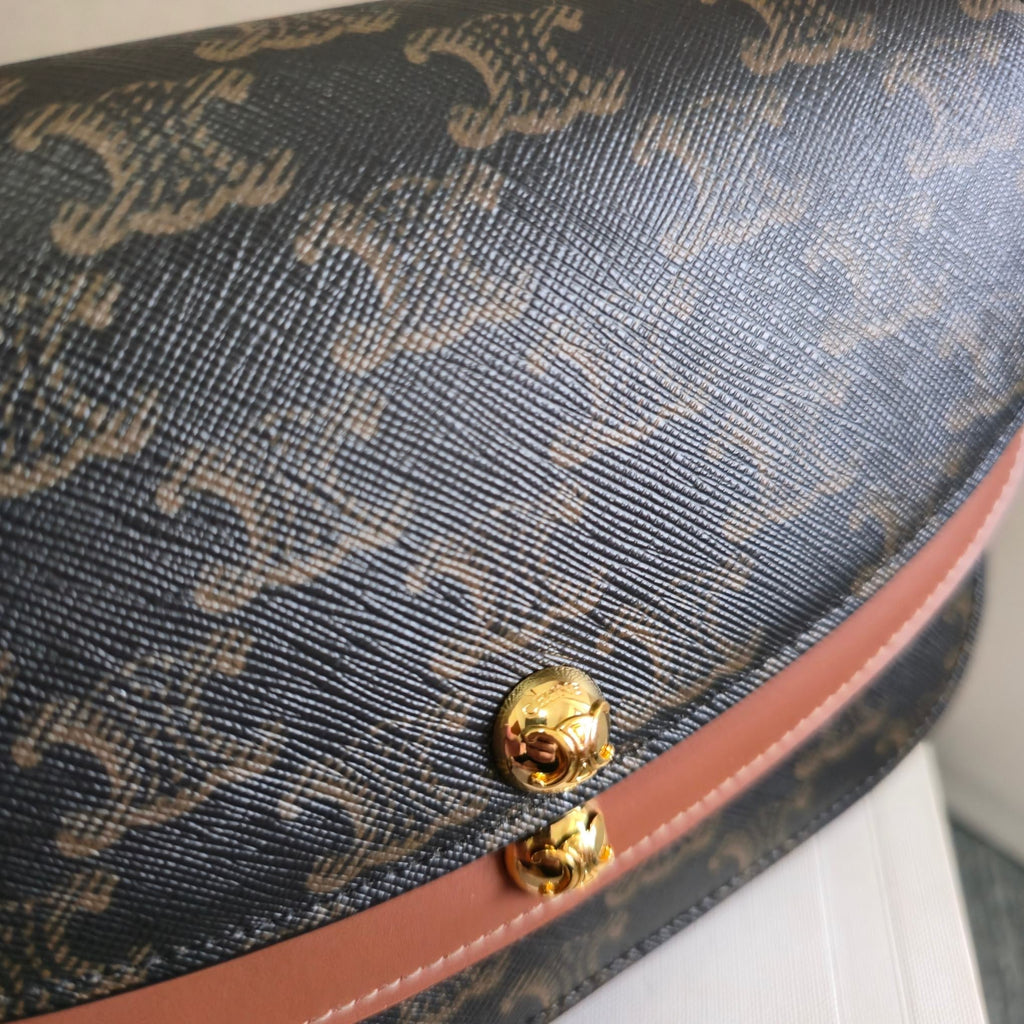CELINE 25S DUO WALLET ON STRAP 20MM IN TRIOMPHE CANVAS AND CALFSKIN